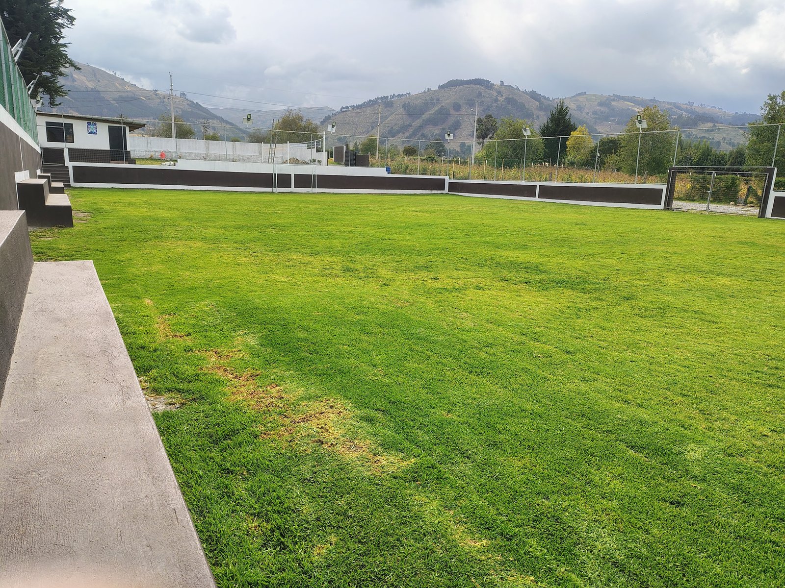 Cancha de césped exterior